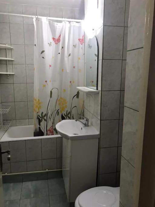 Apartament Confortabil Piteşti Buitenkant foto